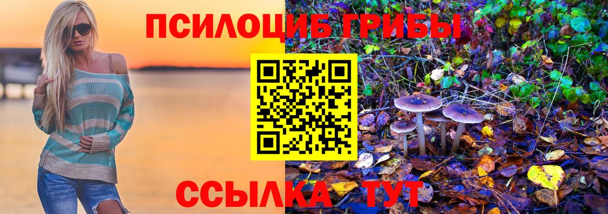 Псилоцибиновые грибы Cubensis Сатка