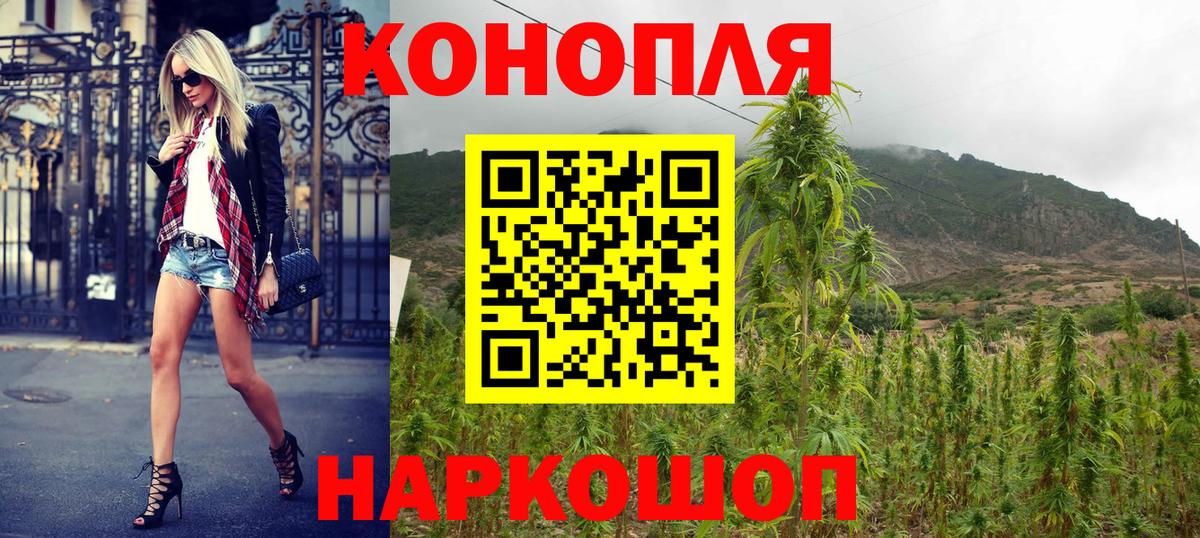 Шишки марихуана планчик  Конопля Amnesia  Конопля семена  Сатка  Вход с VPN 
